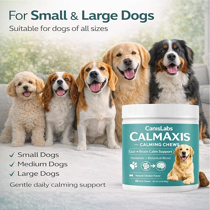 Calmaxis Chews, Postbiotic Chews for Dogs, Supports Calm Behavior & Gut Health, Postbiotic Complex & L-Theanine, Natural Chicken Flavor, 60chews for Small & Large Dogs