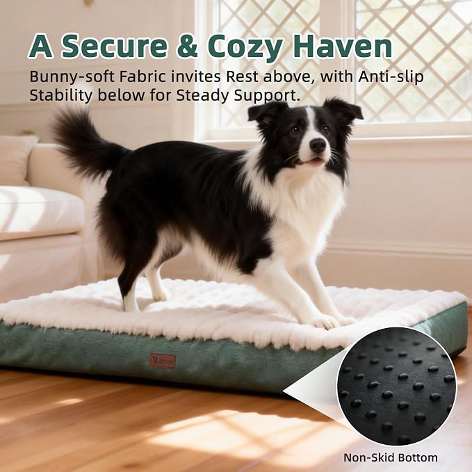 Orthopedic Dog Bed with Firm High-Density Egg Crate Foam Mattress,Soft Short Plush Surface Pet Beds,Machine Washable with Removable Cover & Non-Slip Bottom for Small Breeds (Green, 23"L x 17"W x 3"H)