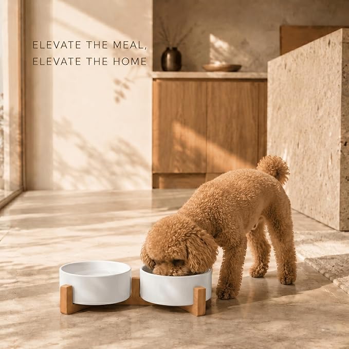 SPUNKYJUNKY Ceramic Dog and Cat Bowl with Wood Stand Non-Slip Matte Glaze Weighted Food Water Set for Cats &Small Dogs 13.5 OZ
