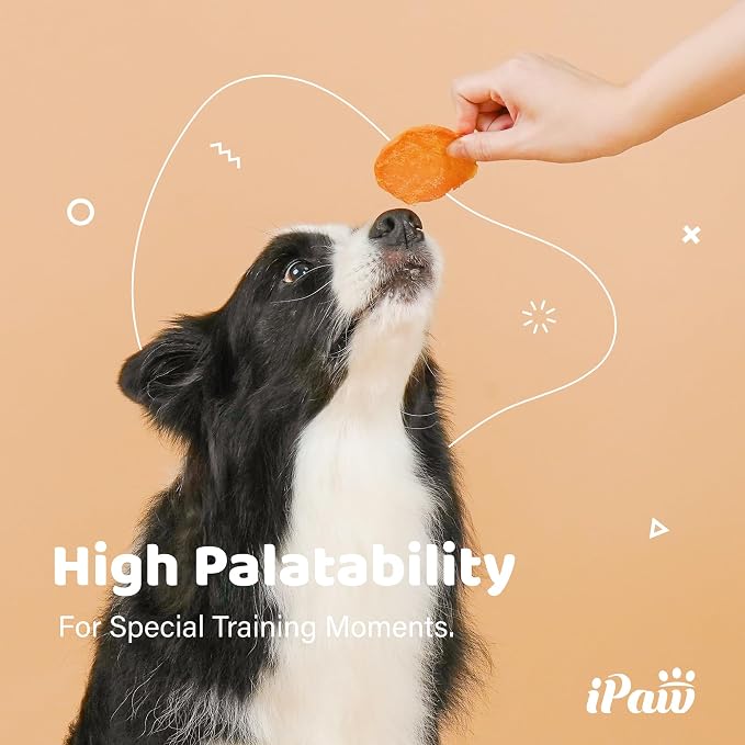 iPaw Chicken Chips Dog Treats for Puppy Training, SQF Certified Human Grade Dog Treat, Hypoallergenic, Easy to Digest (Chicken Chips)