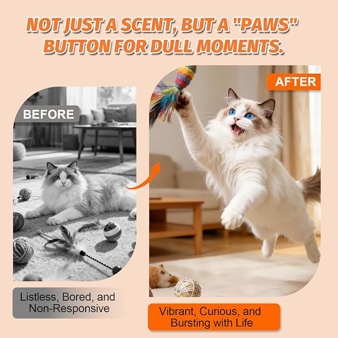 PAW PLANET 2.8 fl.oz. Advanced Catnip Spray with Silvervine for Indoor Cats & Kittens, High-Potency Formula, Natural Training & Play Mist (Animal)