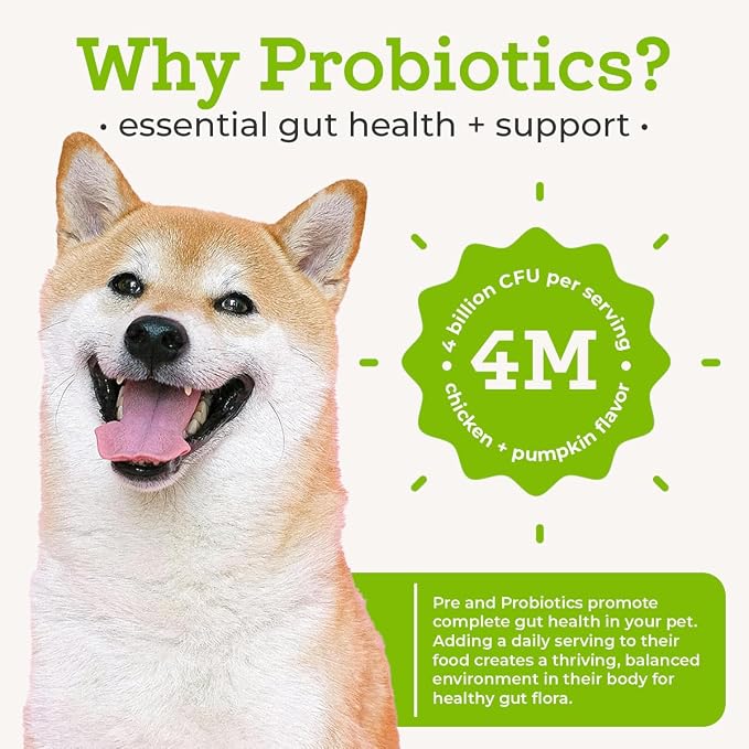 Dr. Joseph's VetPro Complete Advanced Pre & Probiotics Powder for Dogs, Meal Topper, 90 Scoops, Supports Gut Health, Diarrhea, Digestive Health & Allergies, Chicken/Pumpkin Flavor, 4 Billion CFUs