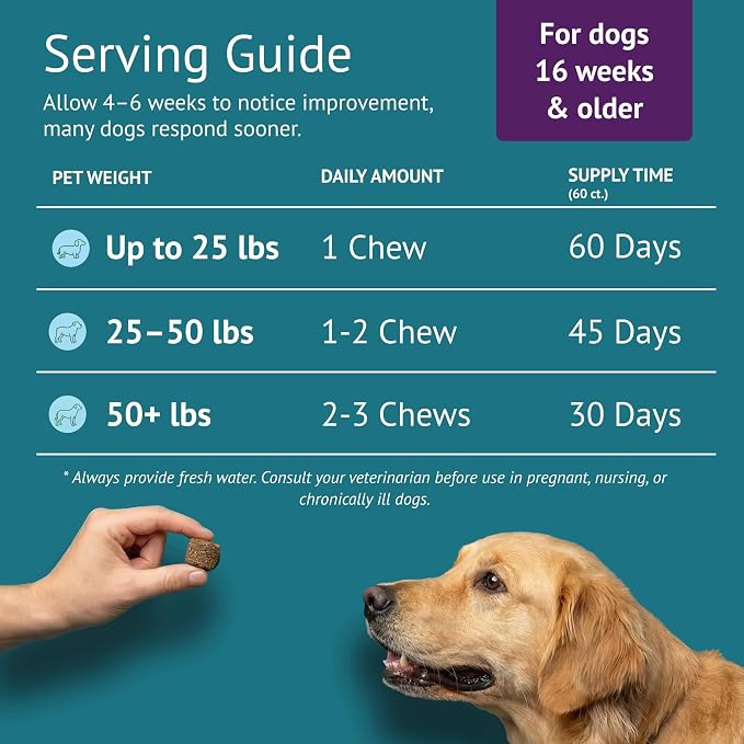 Calming Chews for Dogs - Dog Anxiety Relief and Calming Sleep Support with Theanine, Lemon Balm, Taurine & Inositol - Fireworks, Thunderstorms & Separation Anxiety - Made in USA - 60 Count