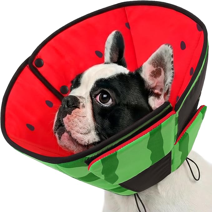 Queenmore Dog Cone, Cone for Dogs to Stop Licking, Dog Cones for Medium Dogs, Adjustable Doggy Recovery Collars & Cones, Elizabethan Collar for Pets After Surgery, Watermelon M