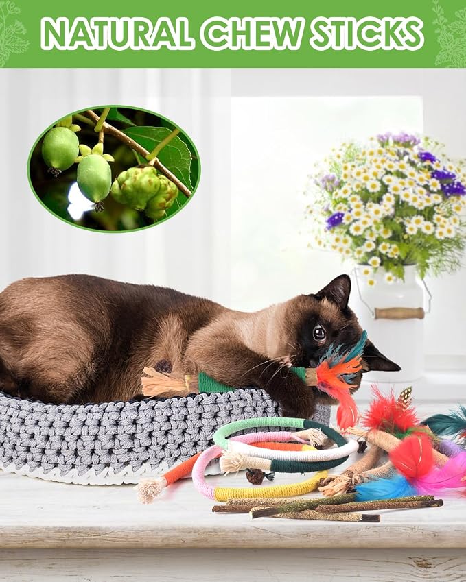 TINDTOP Cat Chew Toys, Silvervine Chew Sticks with 2 Pack Chew Ropes | for Kittens Teeth Cleaning, Increase Appetite, Aggressive Chewers Cat Dental Toy