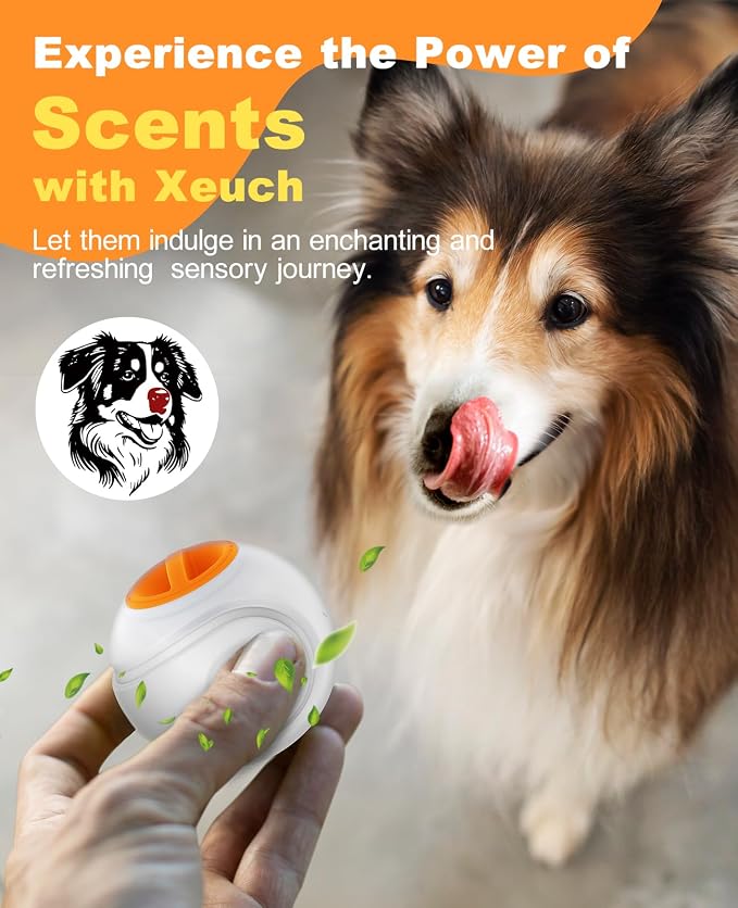 Xeuch LED Dog Ball Rechargeable, Light Up Dog Ball Toys, Bounce-Activated Durable Fetch Ball, Natural Rubber, Unique Scent, 2.5 inches, for Small & Medium Dogs (Orange)