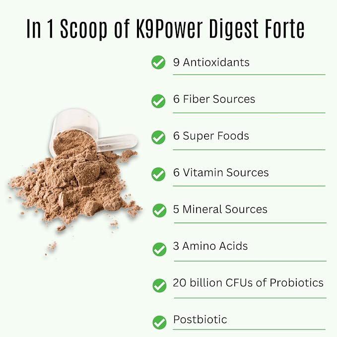 K9 Power Digest Forte – Advanced Digestive & Immune Support for Dogs – Probiotic, Prebiotic, Postbiotic Blend with Salmon Oil, Ginger, Kelp, Pomegranate, L-Glutamine – Gas, Stool, Eye & Gut Relief