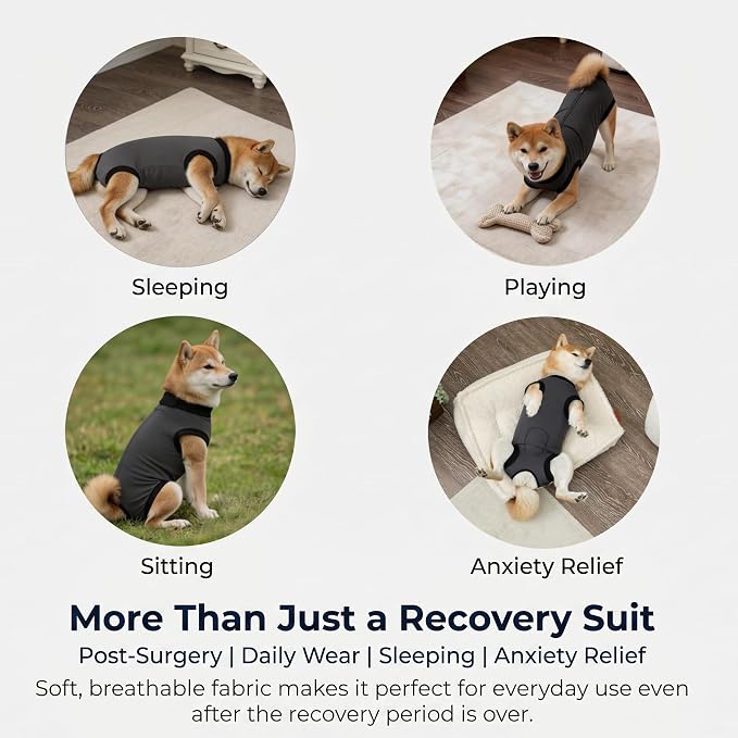 Dog Recovery Suit After Surgery, Abdominal Wound Protection Onesie, Anti-Licking Substitute for E-Collar & Cone, Relieves Anxiety, Easy to Put On, Suitable for Male & Female Dogs (Black, Large)