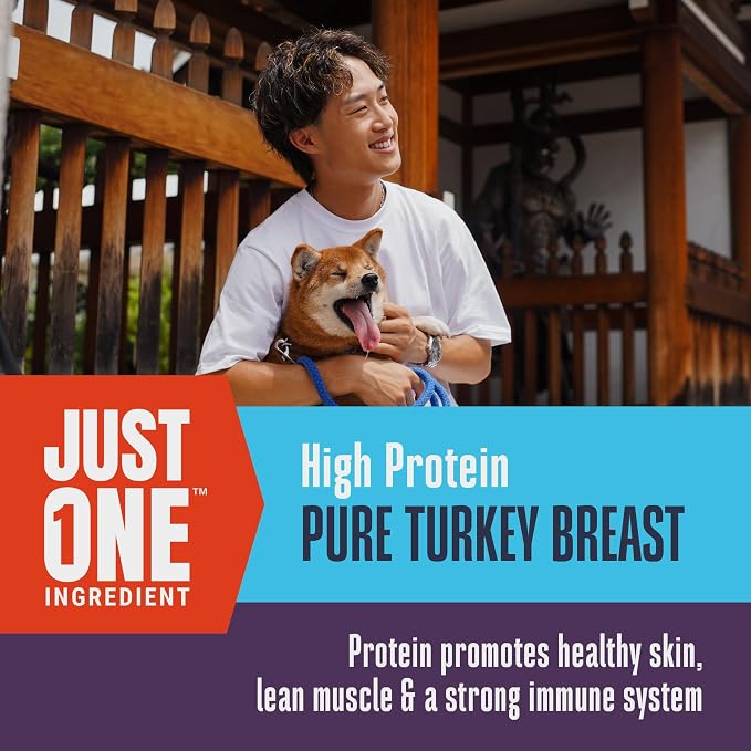 Whole Life Dog Just One Turkey Freeze Dried Dog Treats - Human Grade High Protein Food, Healthy Training Snacks, Freeze Dried Food Toppers, USA Made Natural Treats - 2.5 oz (Value Pack of 1)