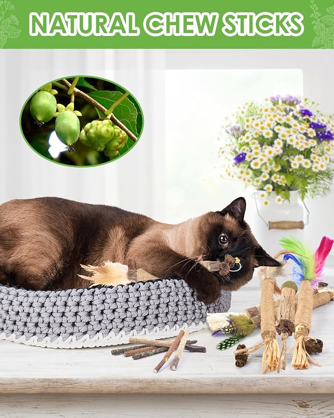 TINDTOP Silvervine Chew Sticks for Cats, 12 Pack Natural Catnip Chew Toys for Kittens Teeth Cleaning, Matatabi Dental Care, Increase Appetite, Calm Cat Anxiety and Stress, Cat Dental Toy | for Kittens Teeth Cleaning, Matatabi Dental Care, Increase Appe...