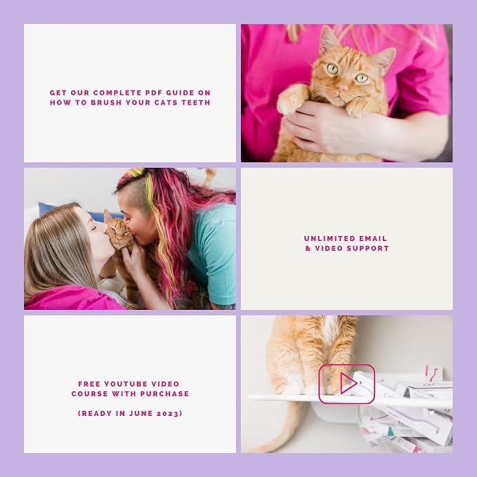 RYERCAT Dual Sided Cat Toothbrush - Kitten Toothbrush with Micro Head for Custom Fit - Cat Dental Care Supplies - Pet Toothbrush for Cats (Amethyst Purple)