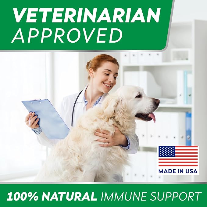 STRELLALAB Dog Allergy Relief & Anti Itch Support Chews w/Omega 3: Real Ingredients, Real Taste! Skin & Coat Immune Supplement w/Fish Oil, Pumpkin & Enzymes — BBQ Chicken - 180Ct