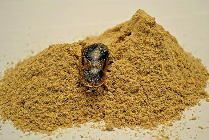 Premium Roach/Cricket Chow and Water Crystal Combos by Five-Star Feeders (5 lb. Roach Chow and 4 oz. Water Crystals)