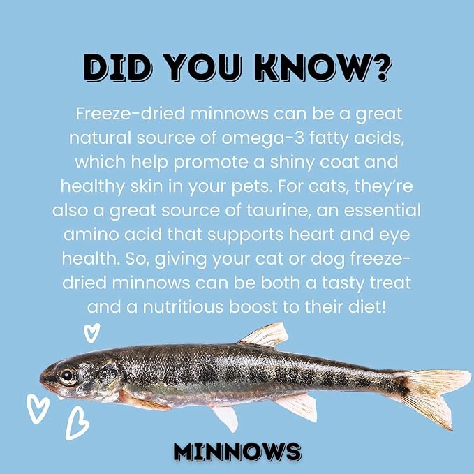 hotspot pets Freeze Dried Minnows Treats for Cats & Dogs (1 Pound Bag Over 400 PCS) Made in USA, All Natural, High Protein, Rich in Omega-3s, Grain-Free, Perfect for Training, Topper or Snack