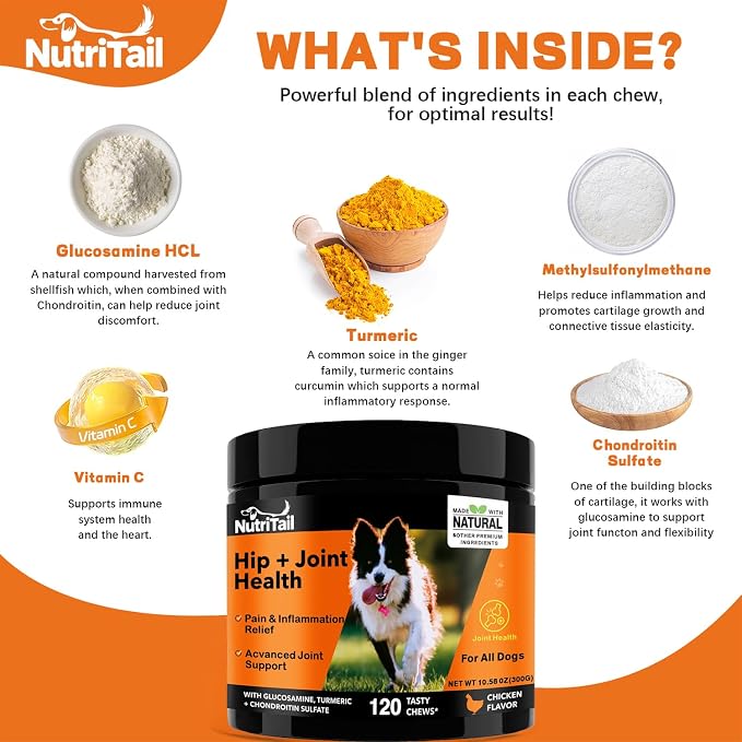 Hip & Joint Health Soft Chews for Dogs – Glucosamine, Turmeric, Omega-3 & Chondroitin – Natural Joint Supplement for Mobility, Pain & Inflammation Relief – Chicken Flavor, 120 Soft Chews