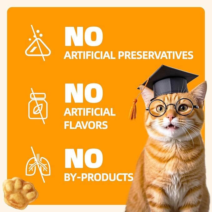 Wellix 29.45 oz Healthy Cat Treats Pumpkin Flavor - Chicken Formula Stomach Sensitive Kitten Snacks for Digestive Support - Cat Constipation Relief Low Calorie Food Topper for Cats