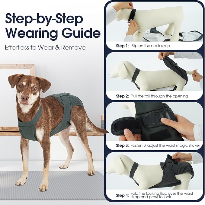 IECOii Washable Dog Diapers Female with Suspenders, Escape-Proof Period Panties for Heat, Incontinence & Potty Training, Reusable Sanitary Underwear for Senior Dog, Ideal for Caregivers & Breeders,2XL
