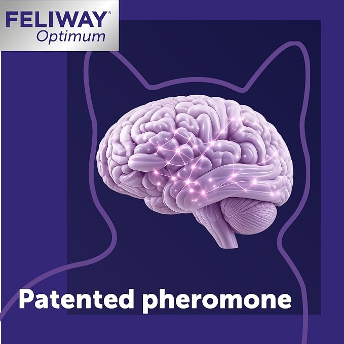 FELIWAY Optimum Cat Calming Diffuser Refill (6 Pack, 180 Day Supply) – Cat Pheromone Diffuser Refill for Advanced Support to Reduce Stress, Spraying, Scratching, Fighting and Hiding