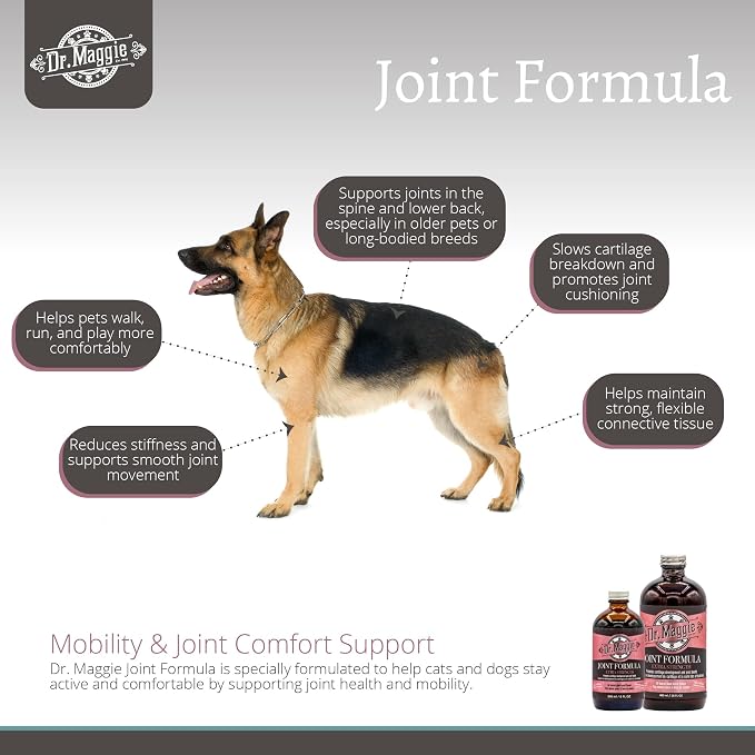 Dr. Maggie Joint Formula for Dogs and Cats with MSM, Glucosamine, and Chondroitin | 240 ml
