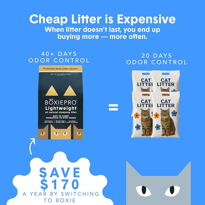 Boxie Probiotic Lightweight Cat Litter 40 Day Odor Control, Odor Eliminating Probiotics, 99.9% Dust Free, Multi-Cat, 11.5 lb
