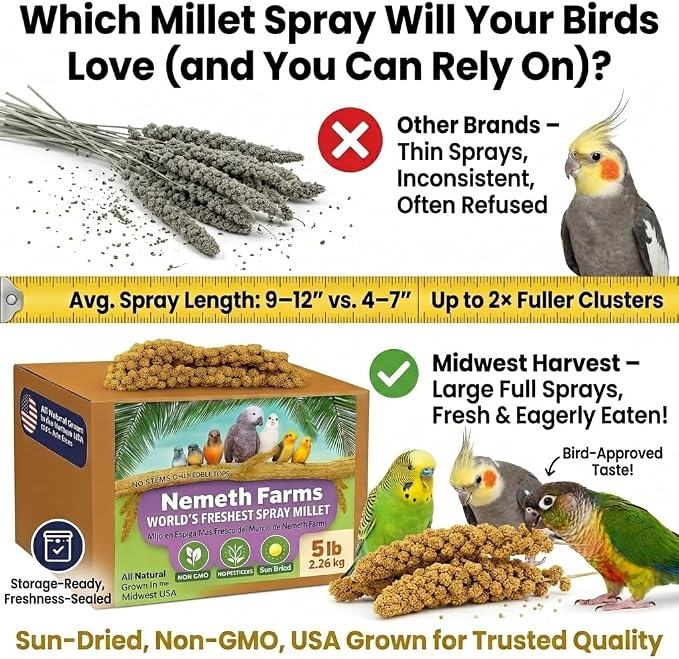 Nemeth Farms Spray Millet - Edible Tops Only, Non-GMO and Sun-Dried - 5 lbs for Parakeets, Conures and Cockatiels