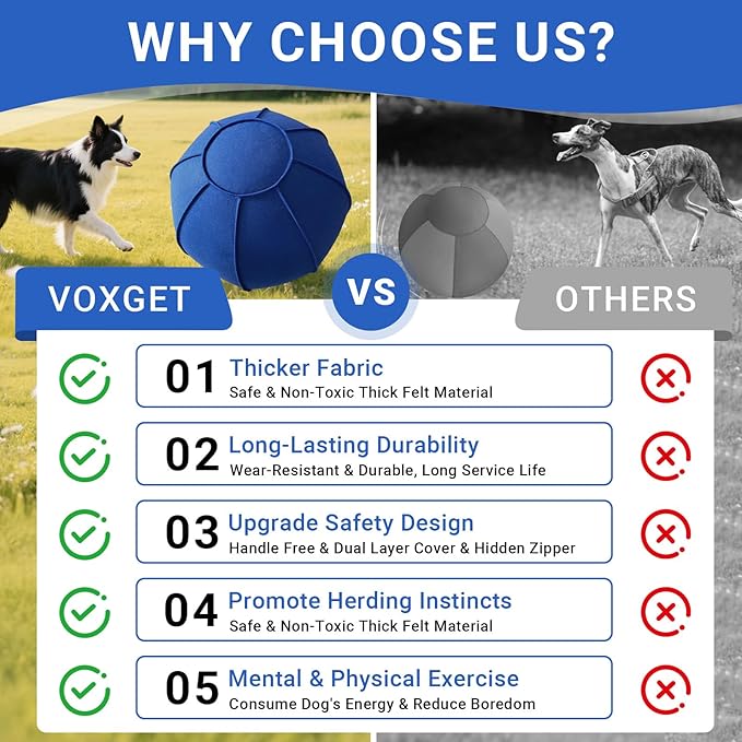 Dog Toy Ball for Dogs, Interactive Dog Training Toy for Medium Large Breeds Outdoor Play, Collies Exercise Agility (Blue,L)
