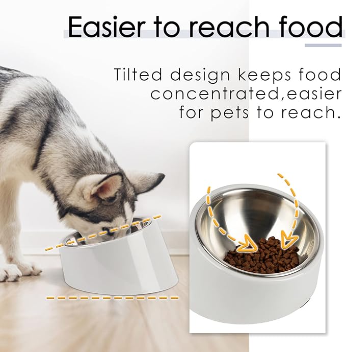 SuperDesign Mess Free 15° Slanted Bowl for Dogs and Cats, Tilted Angle Bulldog Bowl Dog Feeder, Non-Skid & Non-Spill, Easier to Reach Food S/0.5 Cup Gray