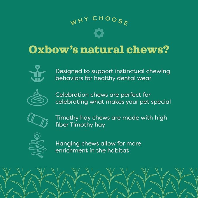 Oxbow Enriched Life Natural Dangly Party Pack, Rabbit Toys, Guinea Pig Toys, Enrichment for Bunny, Guinea Pig, Hamster Stuff, Rabbit Enrichment, Chinchilla, Rat, Chinchilla Cage Accessories