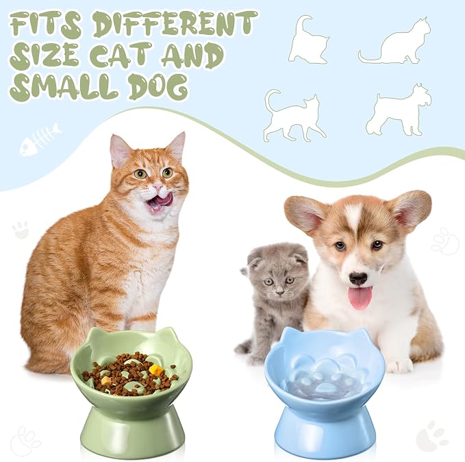 Funnymoom 2 Pcs Ceramic Raised Slow Feeder Cat Bowl, 5.91inch Elevated Cat Slow Feeder Bowl Tilted Anti Vomiting for Dry Wet Food and Water Easy to Clean High Edge(Green, Blue)