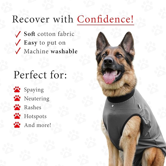 BellyGuard Dog Surgery Recovery Suit, Post-Op Dog Recovery Suit for Female Spay & Male Neuter, Comfy Onesie for Pets, Surgical Body Cover for Canine Healing Support