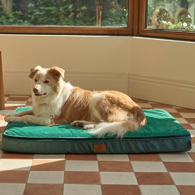 LIORCE Memory Foam XL Dog Bed - 4” Thick Orthopedic Beds for Extra Large Dogs - Waterproof Dog Bed with Removable Washable Cover & Wrap-Around Zipper - Ultimate Comfort and Easy Maintenance, Green