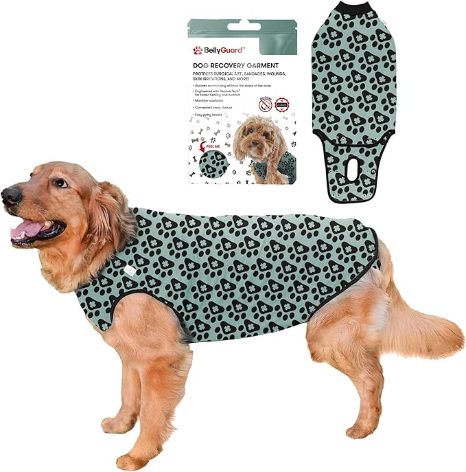 BellyGuard Dog Surgery Recovery Suit, Post-Op Dog Recovery Suit for Female Spay & Male Neuter, Comfy Onesie for Pets, Surgical Body Cover for Canine Healing Support