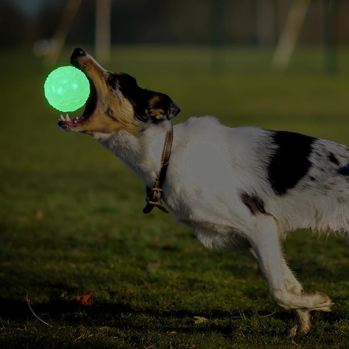 LECHONG 4-Pack 2.5” Glow in The Dark Squeaky Dog Balls, Durable Glowing Bouncy Rubber Fetch Toy Balls for Small Medium Puppy Dogs Nighttime Playing Indoors and Outdoors