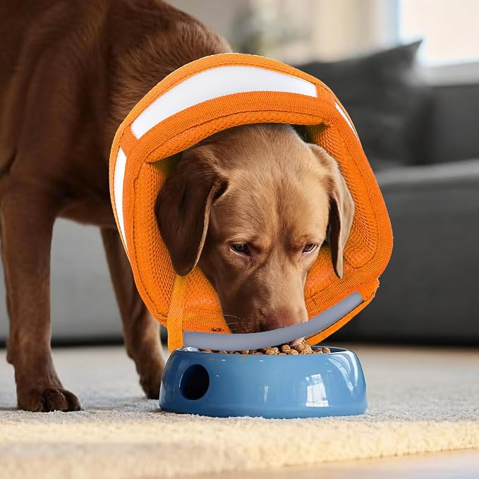Dog Cone Alternative for Small Dogs to Stop Licking | Adjustable Recovery E-Collar for After Surgery & Wounds, Lightweight & Comfortable Elizabethan Protective Cone (Orang, M)