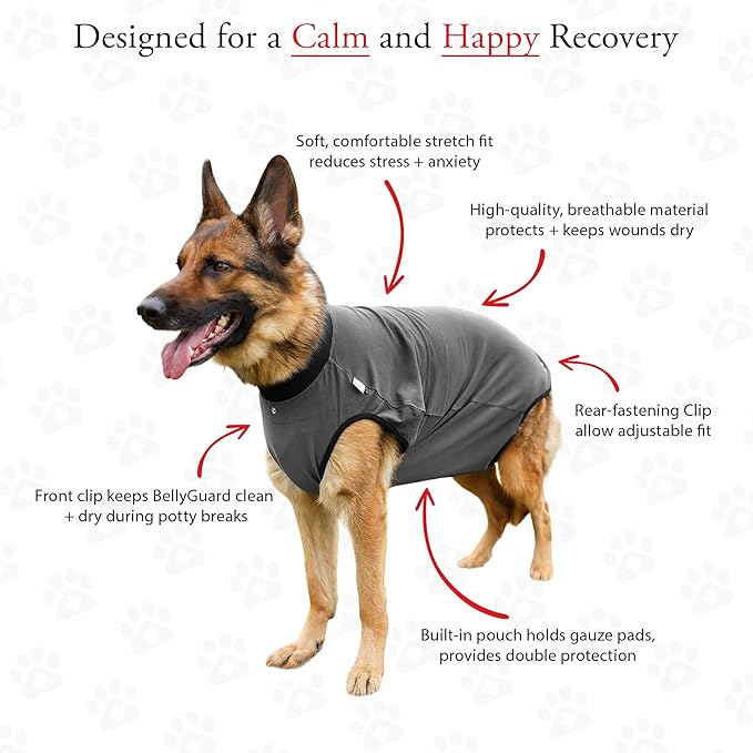 BellyGuard Dog Surgery Recovery Suit, Post-Op Dog Recovery Suit for Female Spay & Male Neuter, Comfy Onesie for Pets, Surgical Body Cover for Canine Healing Support