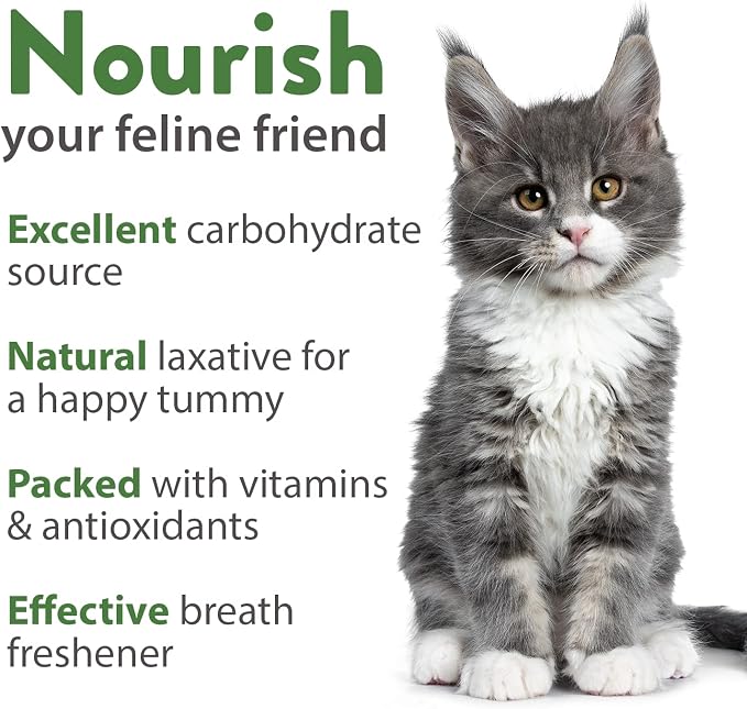Cat Grass & Catnip Garden Kit – 1 lb Non-GMO USA Wheatgrass + 2,160 Cat Plant Seeds Mix (Catnip, Lemongrass, Licorice, Thyme, Valerian) + 2,116 Catnip Seeds – Pet-Friendly Indoor Garden for Cats