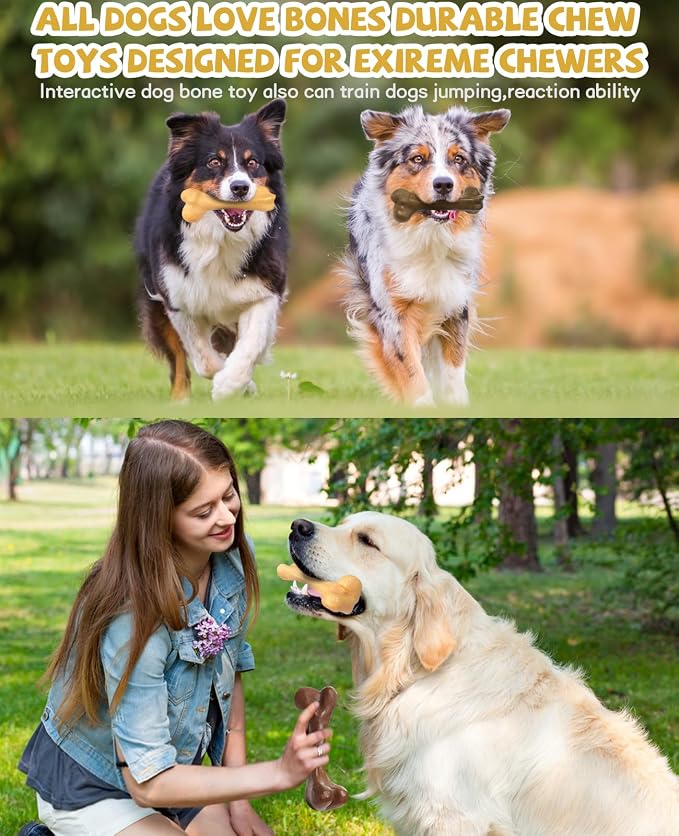 Aggressive Chew Toys, Nylon Bones, Indestructible Toys for Medium Large Dogs, Durable Tough Puppy Teething, Beef & Chicken Flavor (2pcs)