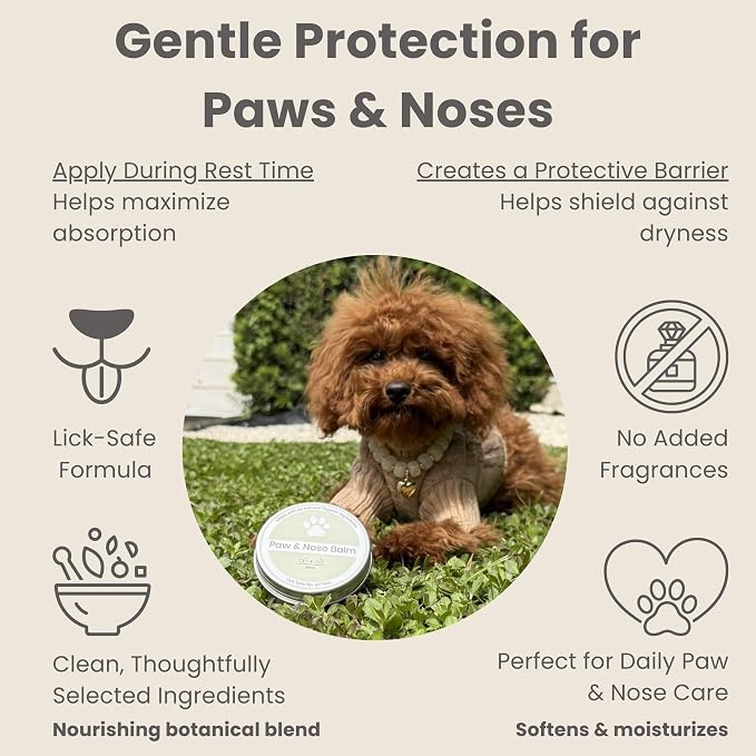 Ali+Oli Pets Dog Training Bundle – Silicone Treat Pouch with Magnetic Closure + Paw and Nose Balm for Dogs and Cats