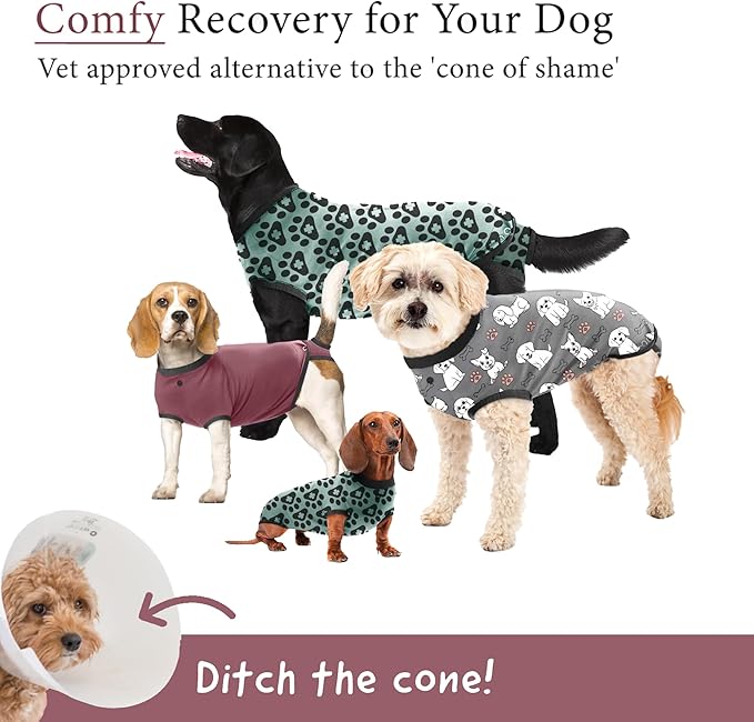 BellyGuard Dog Surgery Recovery Suit, Post-Op Dog Recovery Suit for Female Spay & Male Neuter, Comfy Onesie for Pets, Surgical Body Cover for Canine Healing Support