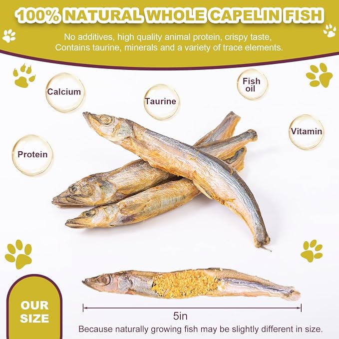 Dylan's cabin Freeze Dried Capelin Fish - Single Ingredient Cat and Dog Treats Natural Animal Protein Healthy Tasty Snacks for Training (85g)