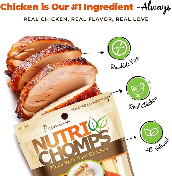 NutriChomps Dog Chews, 6-inch Twists, Easy to Digest, Rawhide-Free Dog Treats, 4 Count, Real Chicken flavor