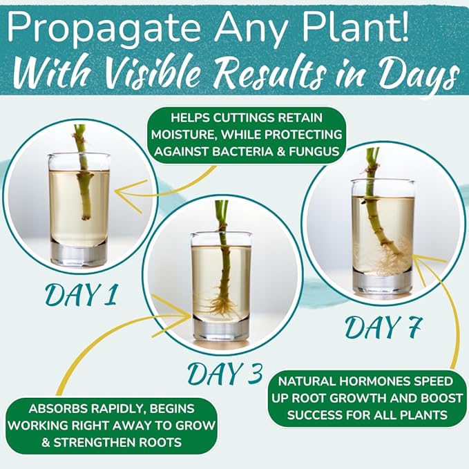 Houseplant Prop Drops – Rooting Hormone for Cuttings & Propagation Promoter | Root Growth Hormone & Root Stimulator | Supports Faster Root Development in Water & Soil Propagation | 8 oz
