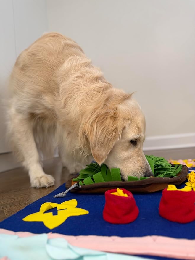 Snuffle Mat for Dogs - Large 35 x 23 in Dog Snuffle Mat, Interactive Nosework & Foraging Mat, Slow Feeder Puzzle Toy, Dog Enrichment Toy for Small, Medium & Large Dogs