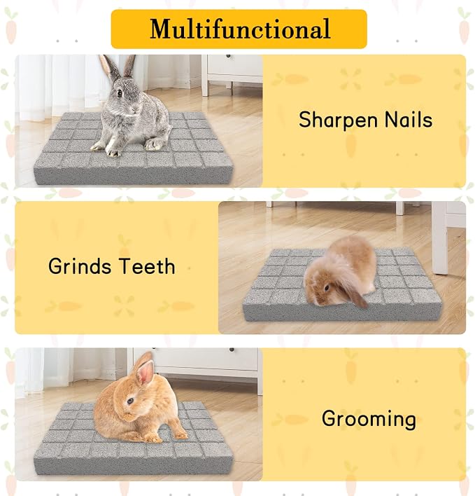 BNOSDM 2Pcs Hamster Food and Water Bowl Mountain Fuji Style Glass Drinking and Rabbit Grinding Claw Pads Natural Hamster Lava Stone Teeth Grinding Scratching Pad Chew Toy for Hamsters Gerbils Mice