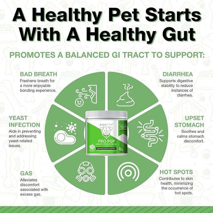 Probiotics for Dogs - Diarrhea Relief, Gut Health Support, Constipation Relief, Digestive Health Support - Vet Recommended Dog Probiotics - 60 Soft Chews that Dogs Love - Pumpkin Flavor