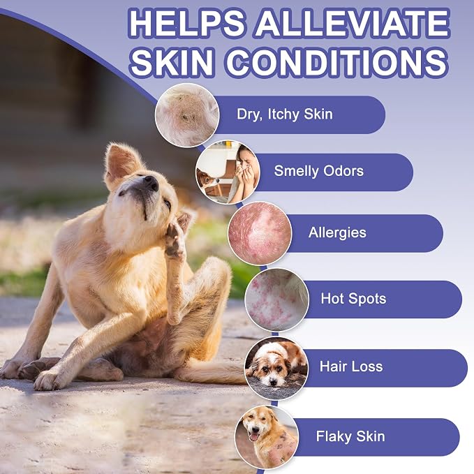 Medicated Dog Shampoo with 2% Miconazole & 2% Chlorhexidine – Relief for Itchy, Odor & Redness – Gentle Vet-Grade Formula for Healthy Skin & Coat - 17 oz