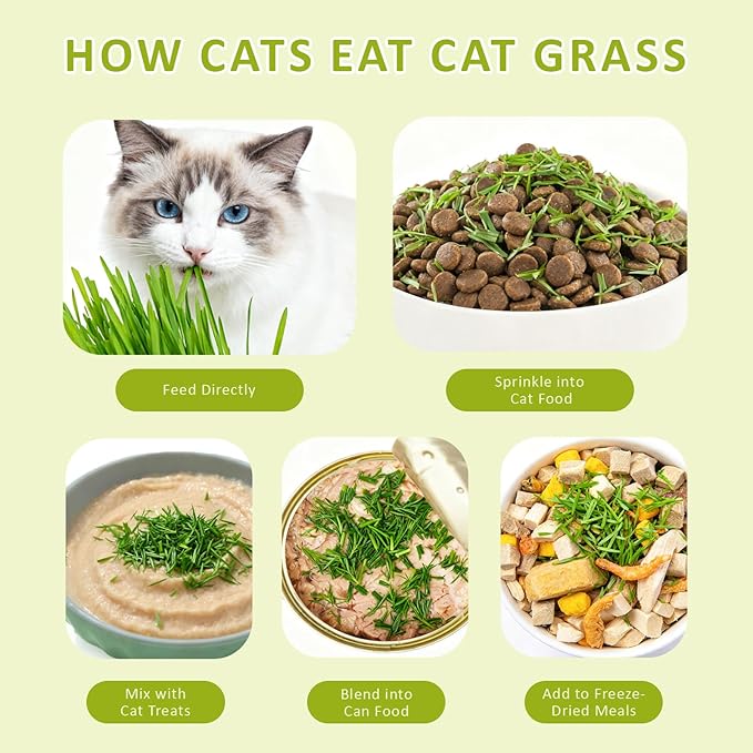 Cat Grass Kit for Indoor Cats with Wooden Planter - 5 Pack Cat Grass & 5 Coconut Soil, Complete Planting Tools, Water Sprayer, Scissors, Bonus Cat Gifts - Natural Wheat Grass for Hairball Control