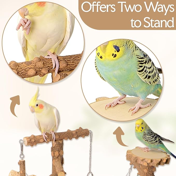 Bird Perch Stand, Multi-Layer Bird Playground, Parrot Cockatoo Parakeet Chew Toys