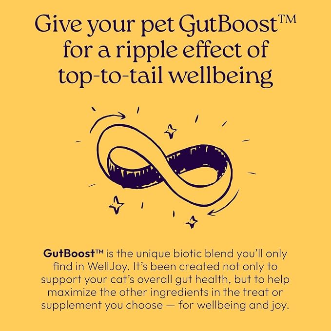 New! WellJoy Cat Supplement Immune+ GutBoost | Cat Health Supplement | with Lysine | Enhances Immune Response | Dual-Benefit Formula | Vet Formulated | Made in USA | Chicken Flavor | 90 Soft Chews