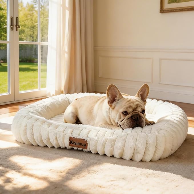 Orthopedic Dog Bed, Washable Medium Dog Couch for Senior Dogs | 30L x 24W x 5H, Egg-Crate Foam, Low Front Entry Design, Removable Cover, Non-Slip Bottom, Medium Dog Bed, Cream